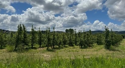 Land in Maiorga of 1,020 m²