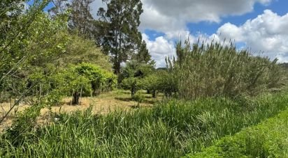 Land in Maiorga of 1,020 m²