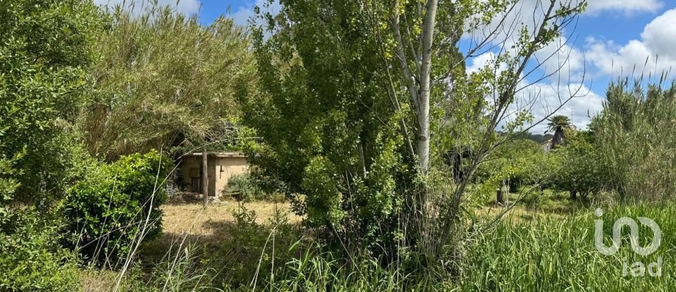 Land in Maiorga of 1,020 m²