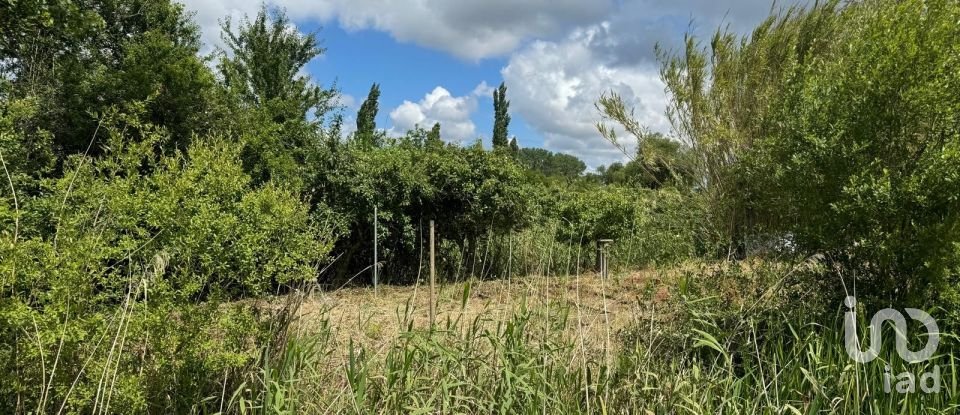 Land in Maiorga of 1,020 m²