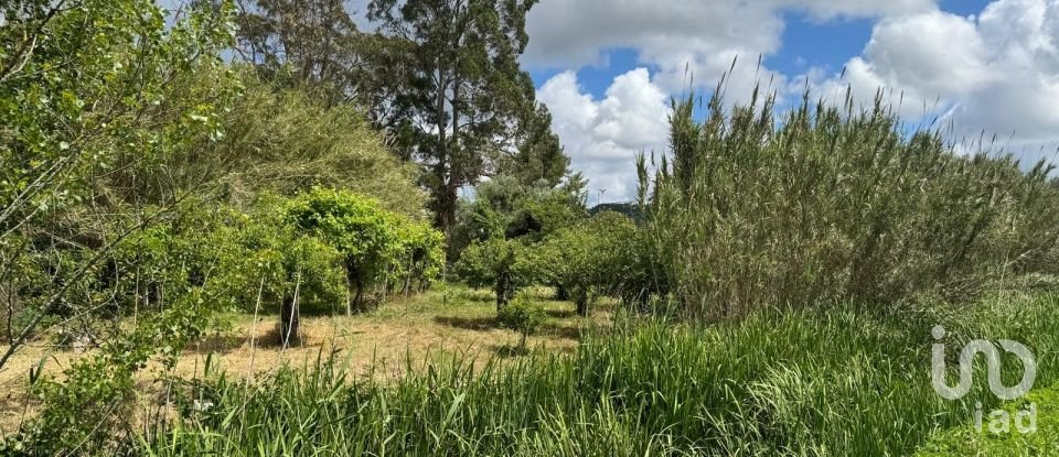 Land in Maiorga of 1,020 m²