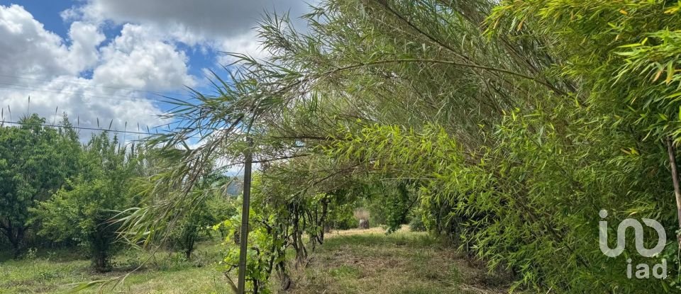 Land in Maiorga of 1,020 m²