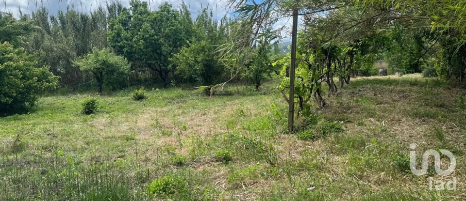 Land in Maiorga of 1,020 m²