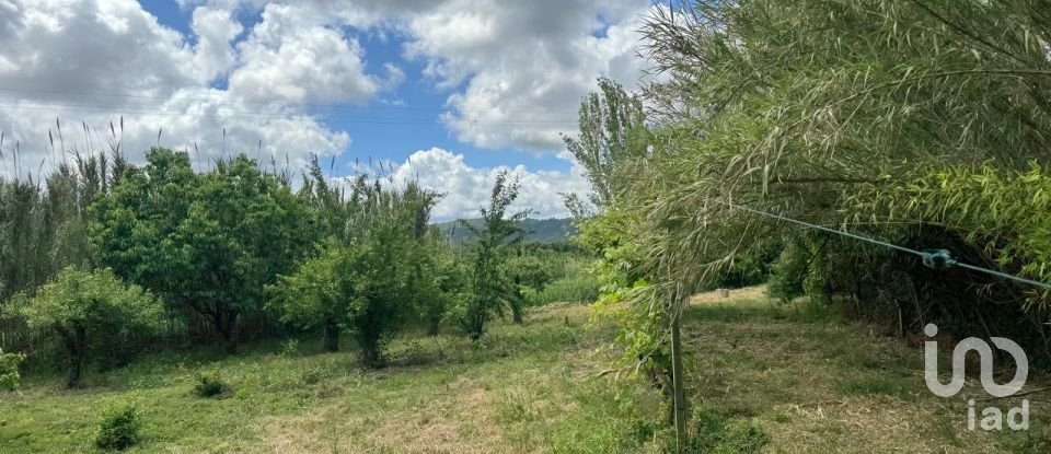 Land in Maiorga of 1,020 m²