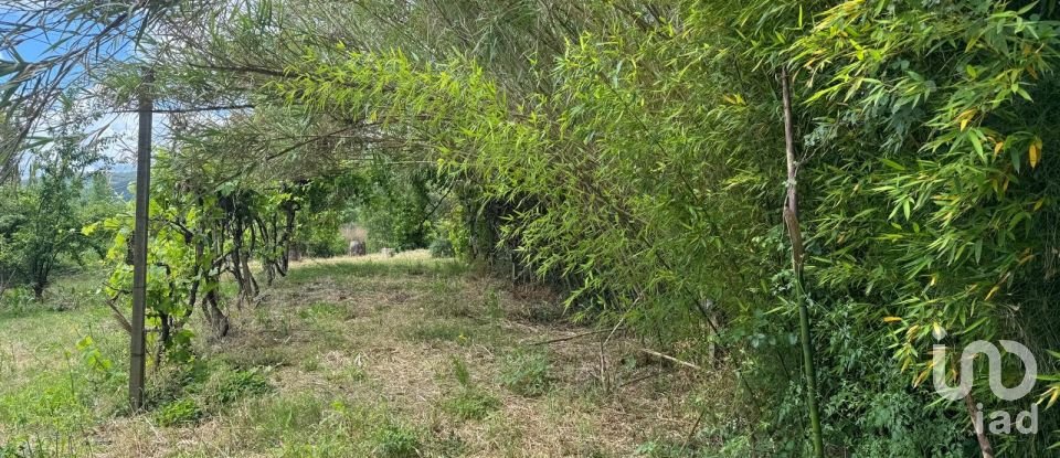 Land in Maiorga of 1,020 m²