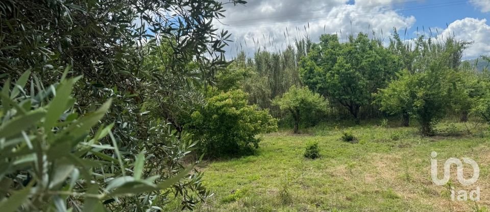 Land in Maiorga of 1,020 m²