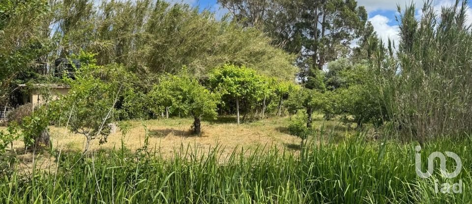 Land in Maiorga of 1,020 m²