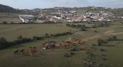 Terrain à bâtir à Almargem do Bispo, Pêro Pinheiro e Montelavar de 4 870 m²