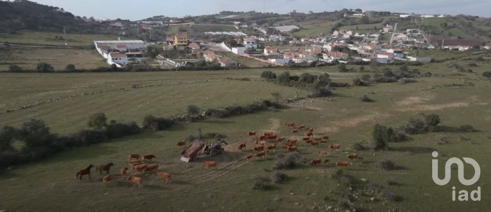 Terrain à bâtir à Almargem do Bispo, Pêro Pinheiro e Montelavar de 4 870 m²