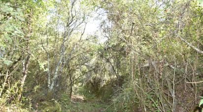 Land in Areias e Pias of 7,520 m²