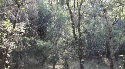 Land in Areias e Pias of 7,520 m²