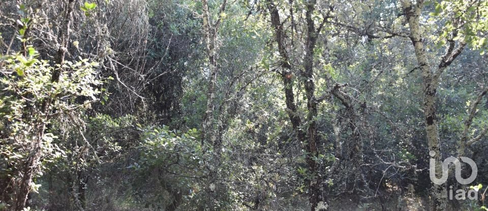 Terrain à Areias e Pias de 7 520 m²