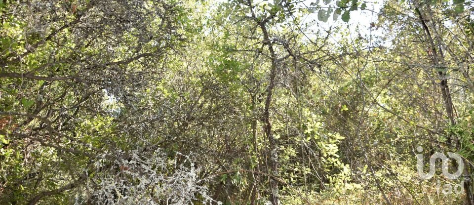 Terrain à Areias e Pias de 7 520 m²