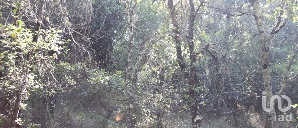 Terrain à Areias e Pias de 7 520 m²