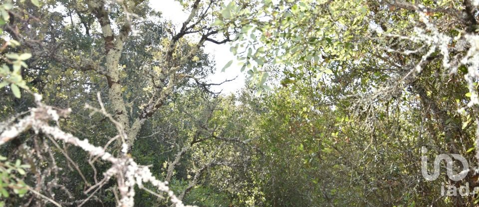 Terrain à Areias e Pias de 7 520 m²