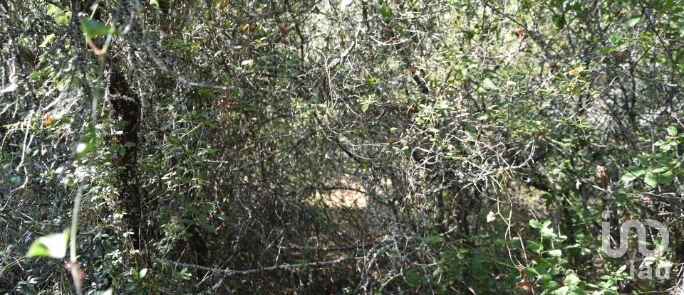 Terrain à Areias e Pias de 7 520 m²