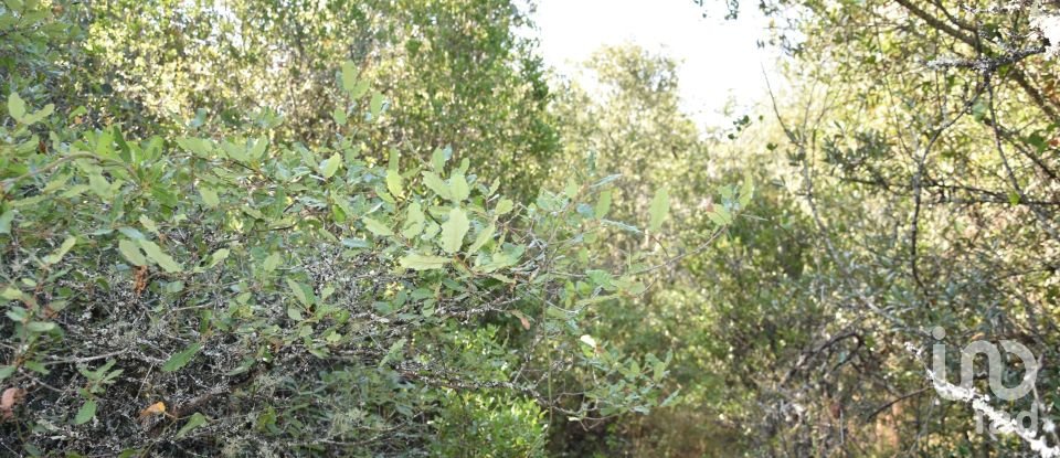 Terrain à Areias e Pias de 7 520 m²