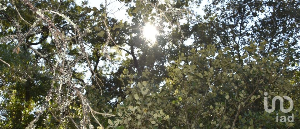 Terrain à Areias e Pias de 7 520 m²