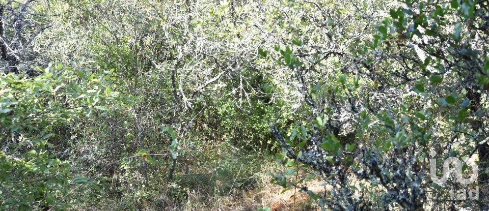 Terrain à Areias e Pias de 7 520 m²