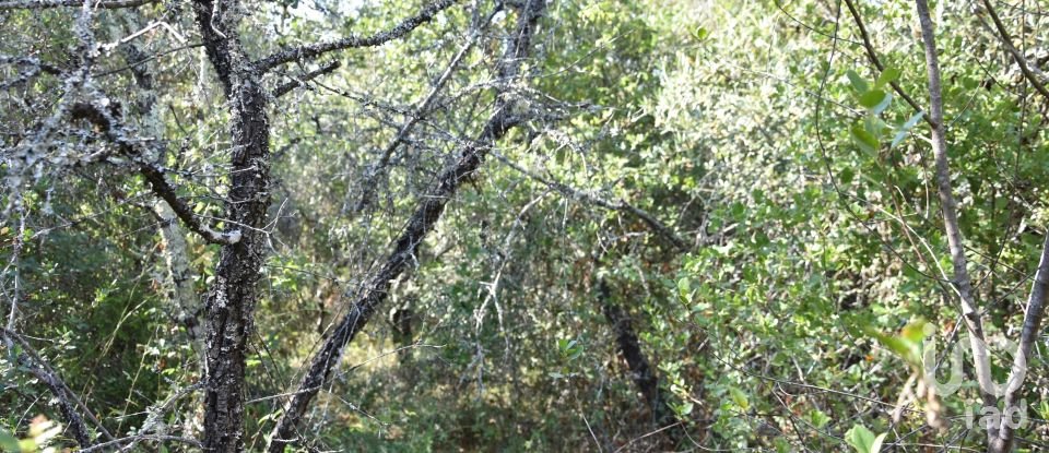 Terrain à Areias e Pias de 7 520 m²