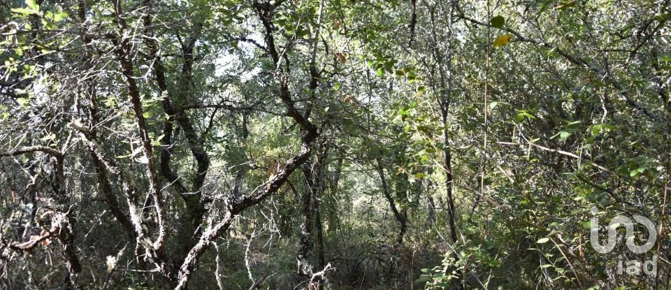 Terrain à Areias e Pias de 7 520 m²