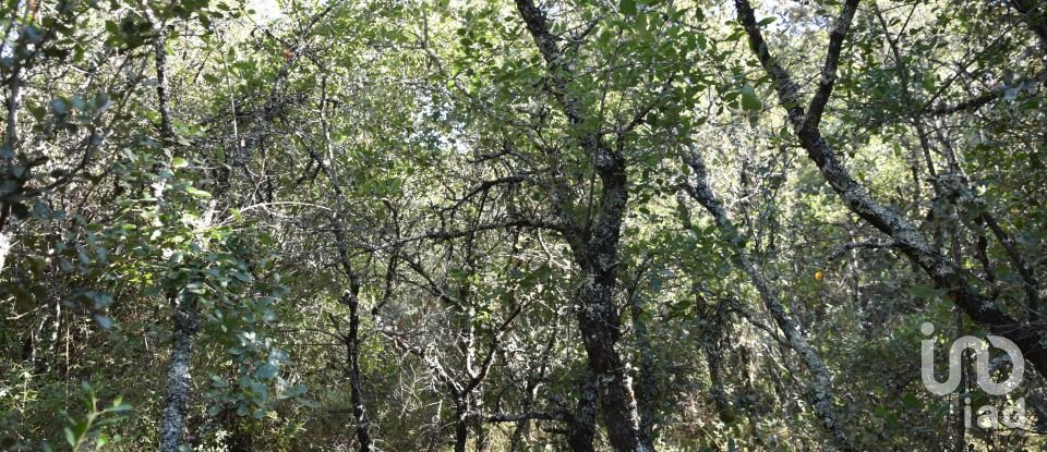 Terrain à Areias e Pias de 7 520 m²