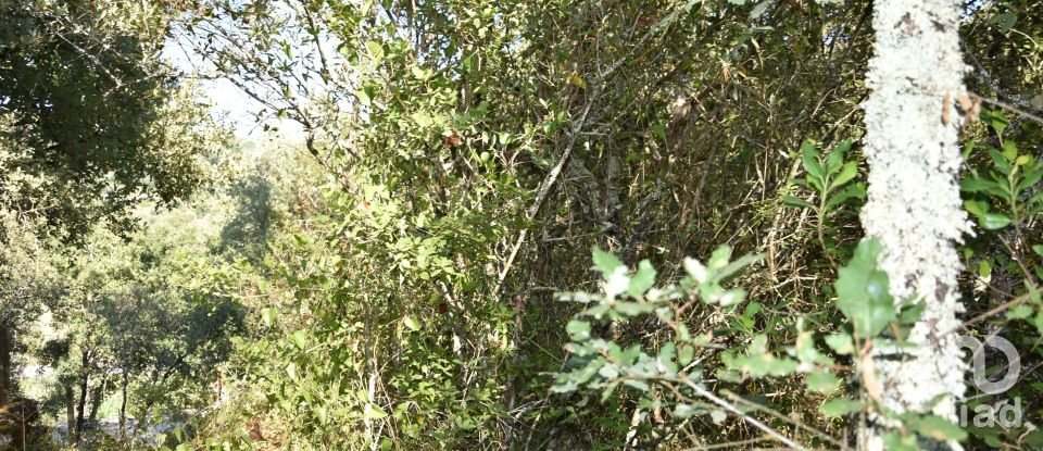 Terrain à Areias e Pias de 7 520 m²