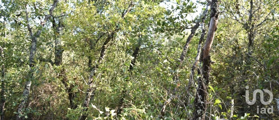 Terrain à Areias e Pias de 7 520 m²