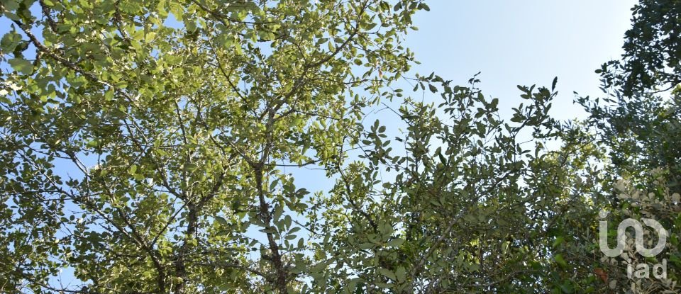 Terrain à Areias e Pias de 7 520 m²