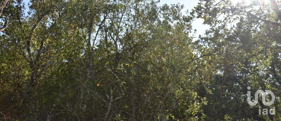 Terrain à Areias e Pias de 7 520 m²