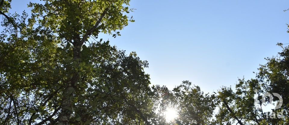 Terrain à Areias e Pias de 7 520 m²