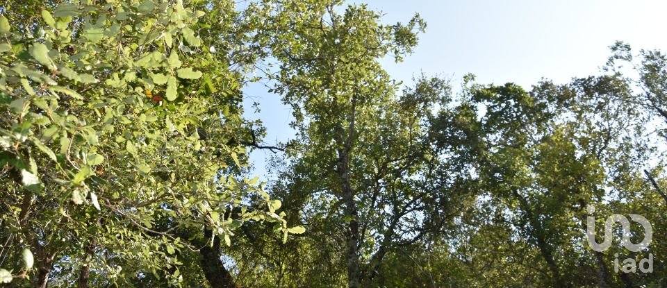 Terrain à Areias e Pias de 7 520 m²