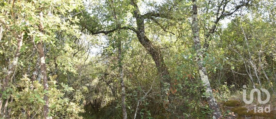 Terrain à Areias e Pias de 7 520 m²