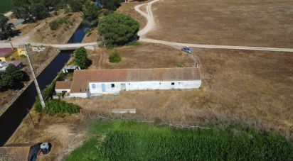 Ferme T3 à Couço de 299 m²