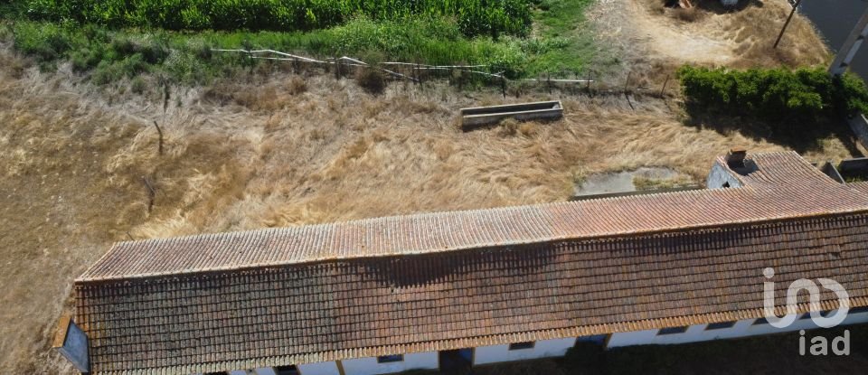 Ferme T3 à Couço de 299 m²