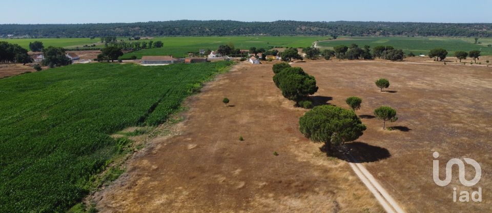 Ferme T3 à Couço de 299 m²