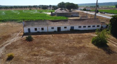 Ferme T3 à Couço de 299 m²