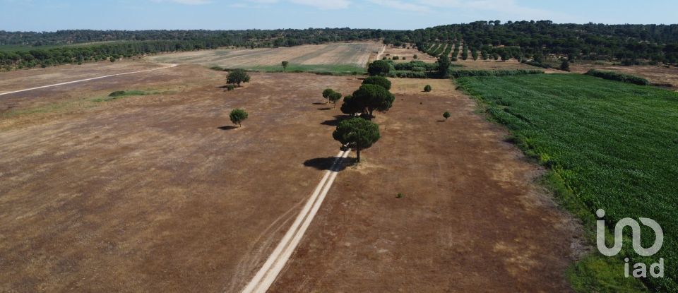 Ferme T3 à Couço de 299 m²