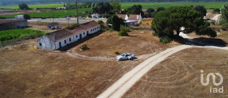 Ferme T3 à Couço de 299 m²