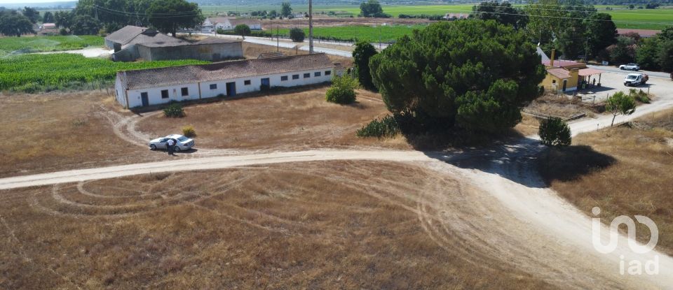 Ferme T3 à Couço de 299 m²