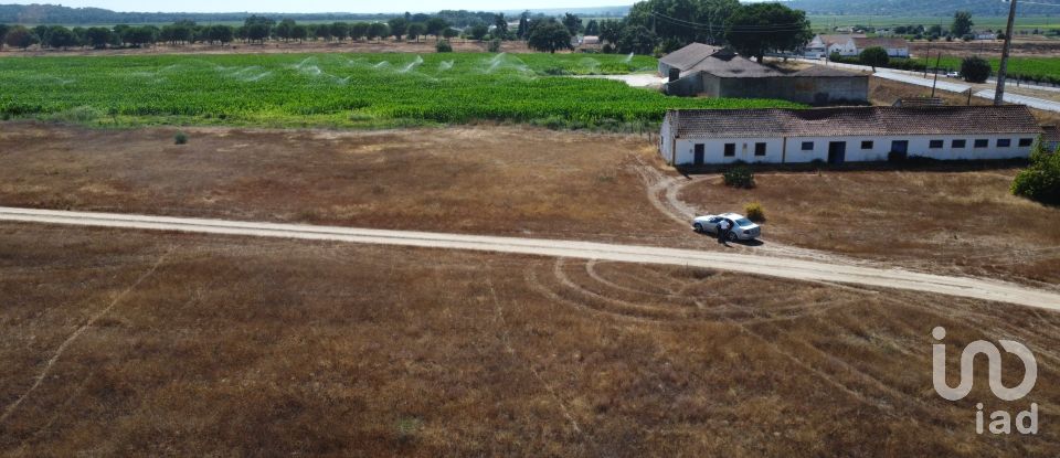 Ferme T3 à Couço de 299 m²