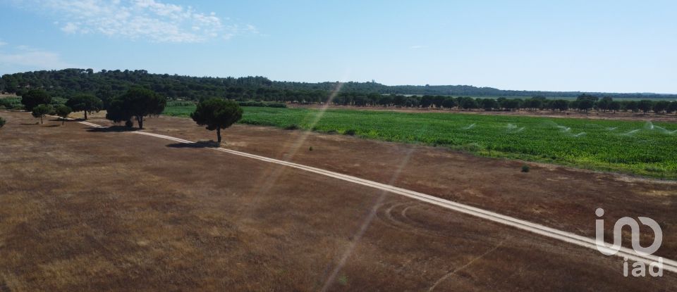 Ferme T3 à Couço de 299 m²