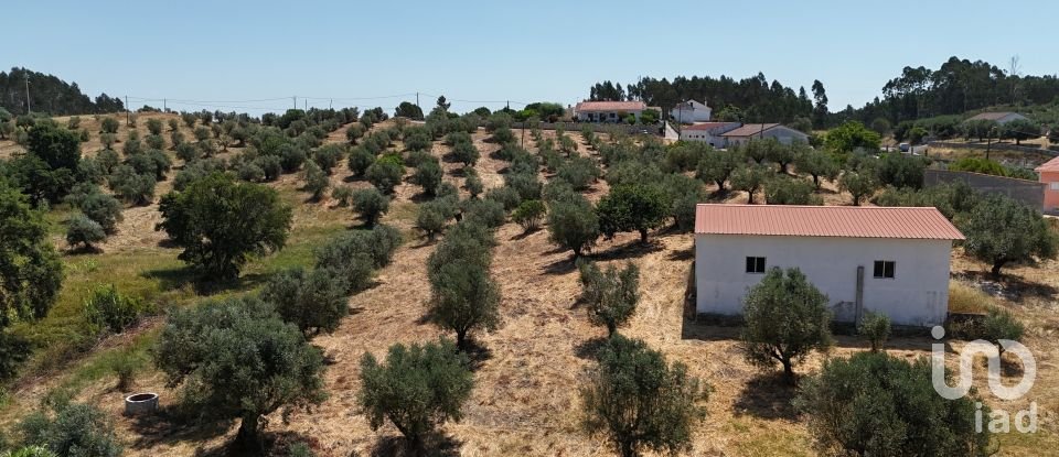 Terrain à Fráguas de 12 240 m²