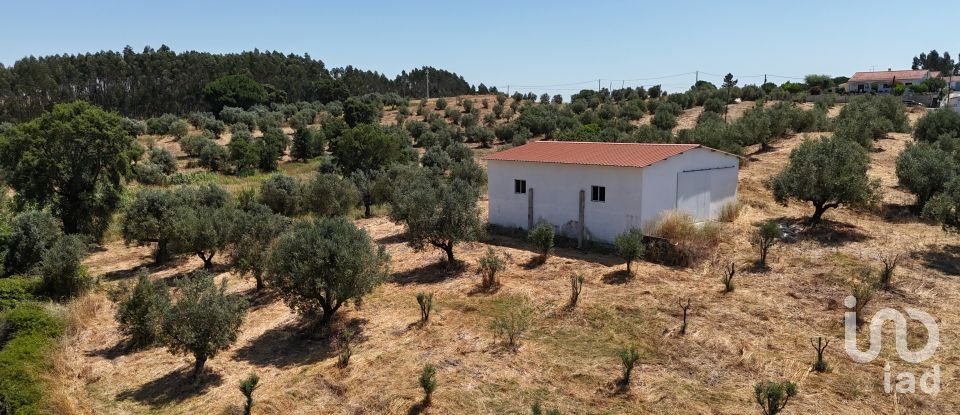 Terrain à Fráguas de 12 240 m²