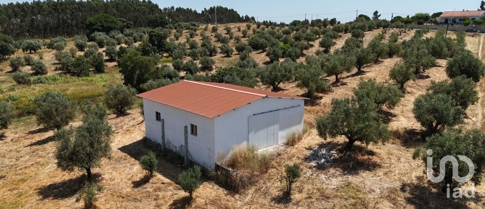 Terrain à Fráguas de 12 240 m²