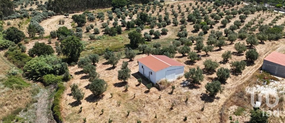 Terrain à Fráguas de 12 240 m²