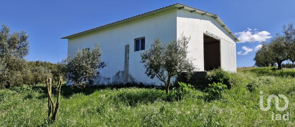 Terrain à Fráguas de 12 240 m²