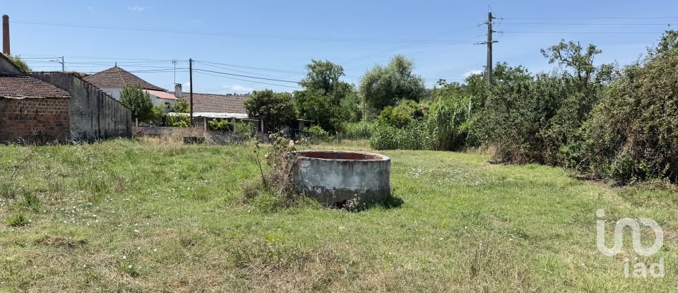 Land in Alcanede of 1,320 m²