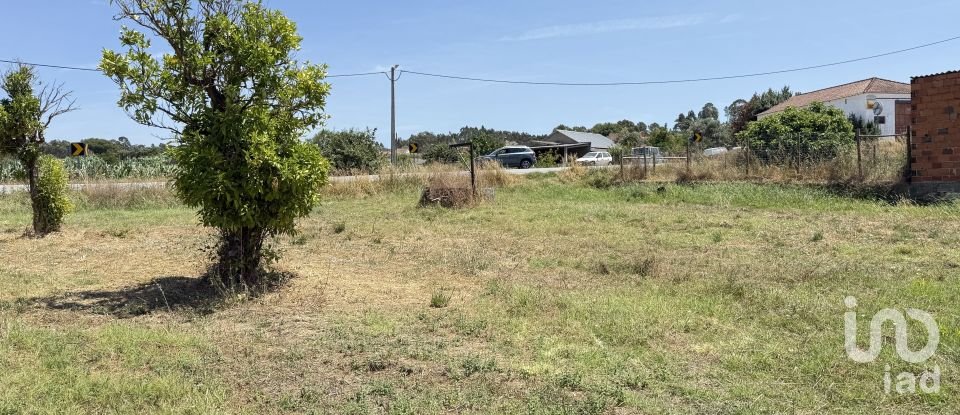 Land in Alcanede of 1,320 m²