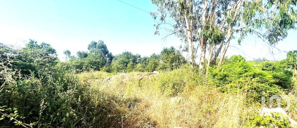 Terreno urbano em Mujães de 833 m²